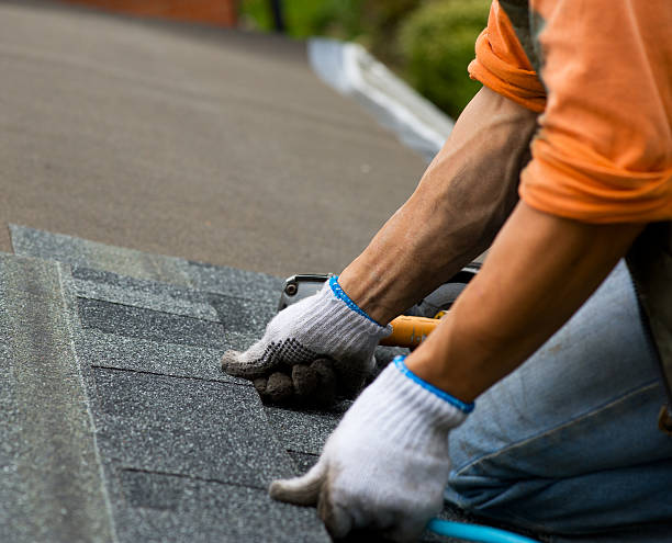 Best Storm Damage Roof Repair  in Magnolia, AR